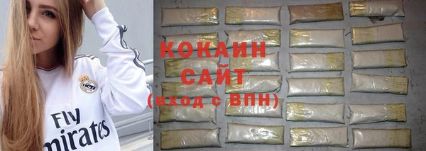 твердый Осинники