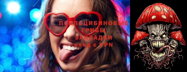 соль ск Алексеевка